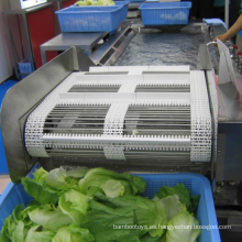 máquina de lavado y secado de frutas industriales